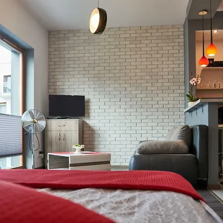 公寓 Apartament Rakowicka 克拉科夫