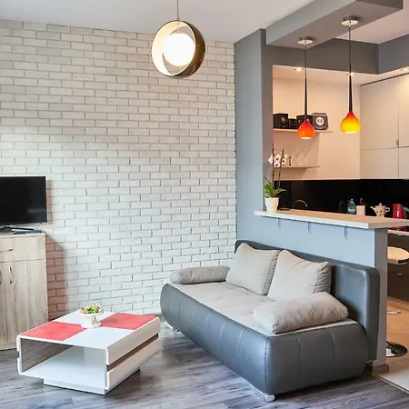 Apartament Rakowicka 公寓